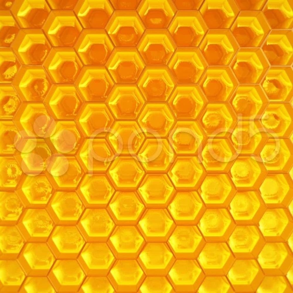 Meet your Posher, Sonia